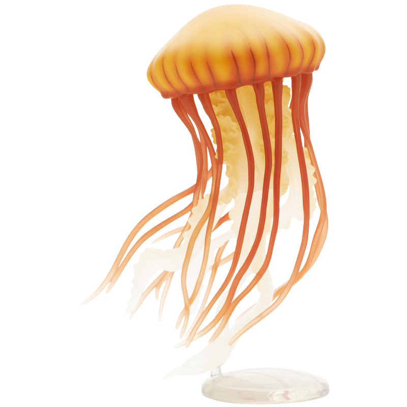 Jellyfish Gashapon Figure Kita - đánh giá và giá Outdoor Lighting Jellyfish