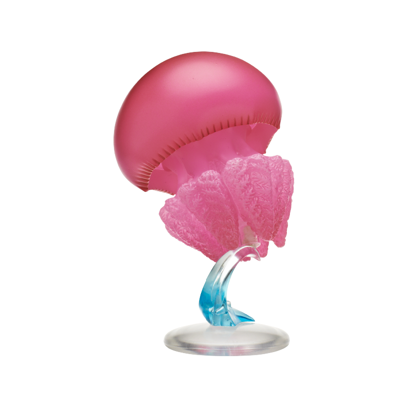 Jellyfish Gashapon Figure Kita - đánh giá và giá Outdoor Lighting Jellyfish